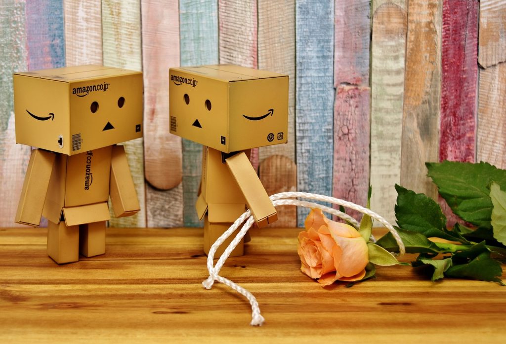 couple of dolls made with amazon boxes holding a flower